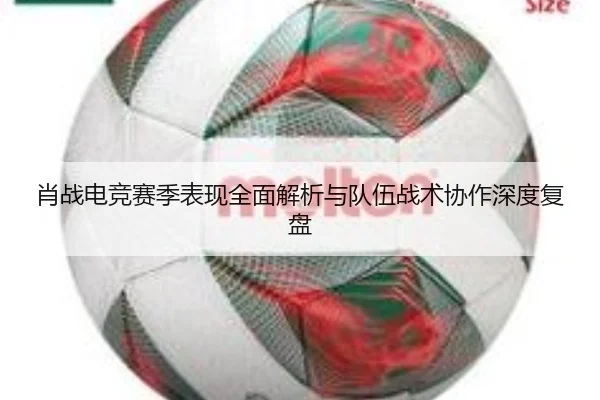 肖战电竞赛季表现全面解析与队伍战术协作深度复盘 | LEYU SPORTS